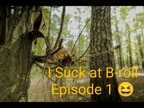 I suck at B-Roll Episode 1 (Clark Park, Fayetteville NC) Sony ZV-E10 11mm F/1.8 Ziyhun Crane M3 Rig