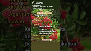 Download lagu Waalaikumussalam dan Selamat Pagi mp3 Download lagu Waalaikumussalam dan Selamat Pagi mp3