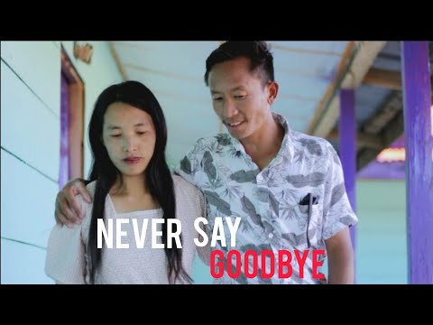 Never say goodbye,Cover Joyba