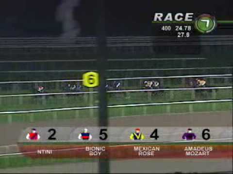 SHIN MIN CUP 23/07/10 - MEXICAN ROSE