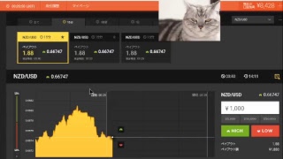 【FX】1万円から始める為替取引【BO】43