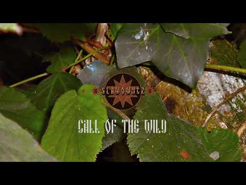 Slawowycz - "Call Of The Wild" (Slavic Folk Rap Beat)