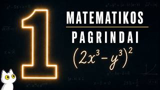 Matematikos pagrindai – YouTube įrašas