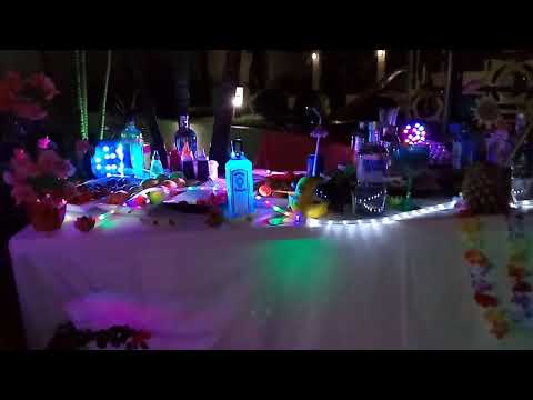 Caipifrutas🍹drinks🍸Coquetéis