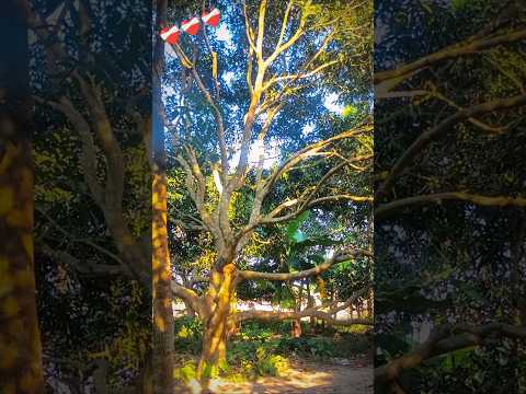 NATURE OF NADIA #nature