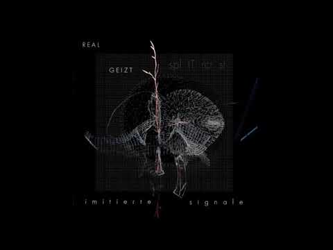 Real Geizt & Splitdtercrist - Spülungen