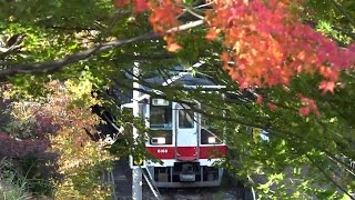 preview picture of video '野岩鉄道 龍王峡駅 紅葉'