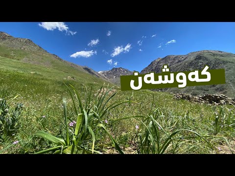 بەڤیدیۆ.. فیلمی دۆكیۆمێنتاری "كه‌وشه‌ن".. كۆكردنه‌وه‌ی گژوگیای به‌هاره‌ له‌ ده‌شت و چیاكانی كوردستان