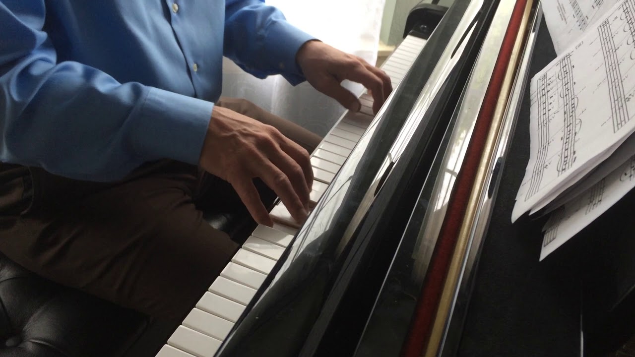 Promotional video thumbnail 7 for Denver Piano Shows
