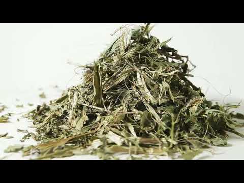   Подорожник лист