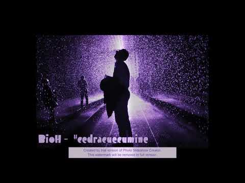 BioH - #cedracuecumine