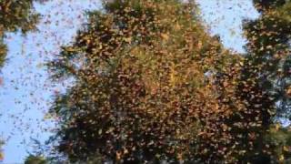 Soon After Christmas - Stina Nordenstam - lyrics