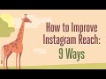 9 Ways Improve Instagram Reach Raza Creations Official
