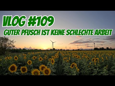 Farm-Vlog #109 Guter Pfusch ist keine schlechte Arbeit