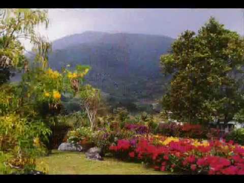 El Tambor de la Alegria (Tamborito)-PANAMA