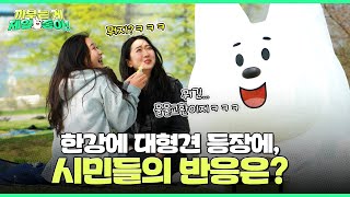 간식이 탐난 대형견! 결국 시민한테 이 짓까지ㅋㅋ | 까부는 게 제일 좋아ㅣEP.03