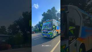 Download lagu 𝐏𝐞𝐬𝐨𝐧𝐚 𝐣𝐚𝐦 𝐦𝐞𝐩𝐞𝐭 𝐬𝐮𝐠𝐞𝐧𝐠 𝐫𝐚𝐡𝐚𝐲𝐮 😎🔥 #fypシ #trending #foryou #sugengrahayu #sumbergroup #bussimulator mp3