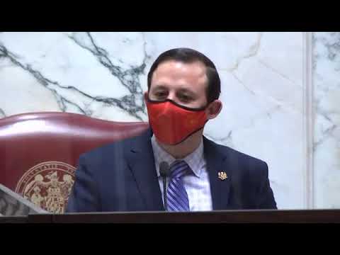 Senate Floor Session, 2/26/2021 #1