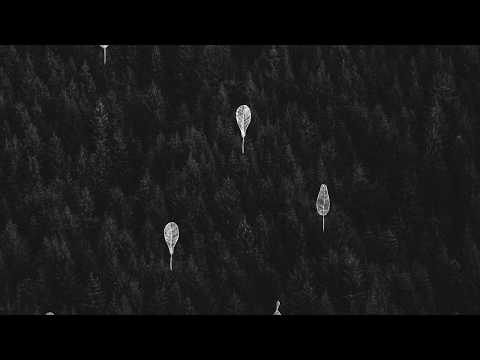 kamanių šilelis - Lakštingalėle