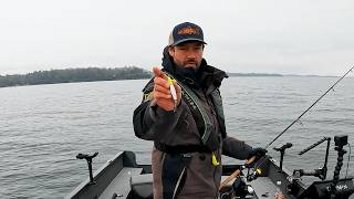 Spring Lake Trout Fishing: Casting + Jigging with LiveScope