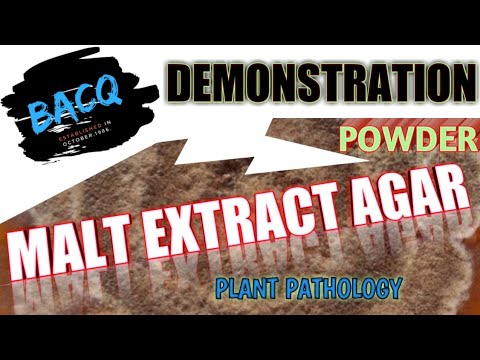 download lagu mp3 mp4 How To Make Malt Extract Agar, download lagu How To Make Malt Extract Agar gratis, unduh video klip How To Make Malt Extract Agar
