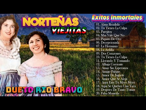 DUETO RIO BRAVO NORTEÑISIMO MIX DE 20 EXITOS PEGADITOS - CORRIDOS Y RANCHERAS MEXICANAS VIEJITAS