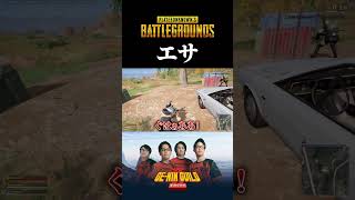 こんなエサに簡単に引っかかる【PUBG】