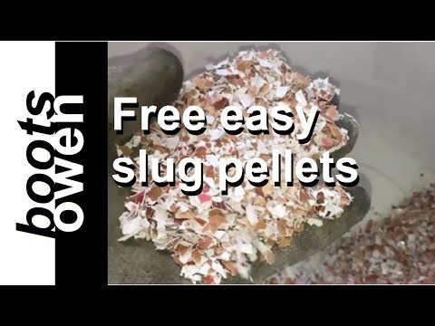 Homemade slug pellets