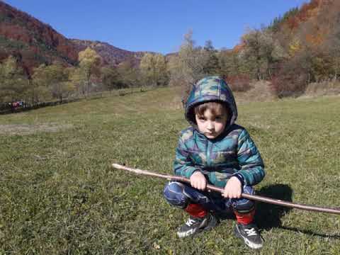 DOR DE VINETISU de MIHAI ANGHEL