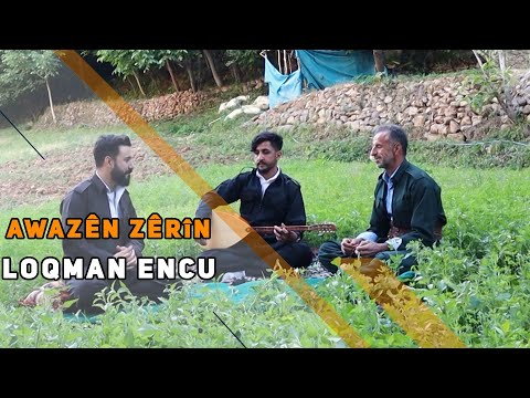 AWAZÊN ZÊRÎN - LOQMAN ENCU