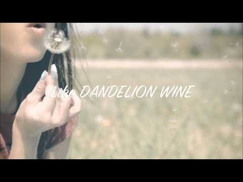 Dandelion Wine OFFICIAL (lyric video) HD