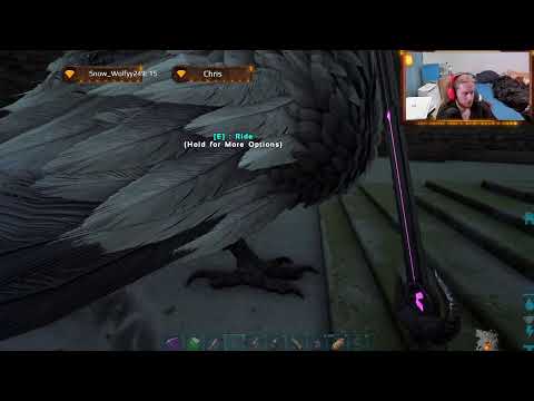 Can We Survive. Casual Chat Extinction Survival Pt22 Base Organising