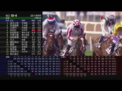 2015 阿喬斯短途錦標 Al Quoz Sprint 獨掌全權 Sole Power 夏偉卓