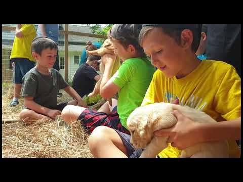 Camp Mogen Av Day Camp Week Two!!!