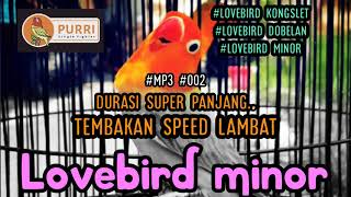 Download lagu LOVEBIRD MINOR TEMBAKAN SPEED LAMBAT COCOK BUAT MASTERAN UNTUK BAHAN KONGSLET..!!! #lovebirdminor mp3