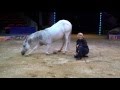 Save The Circus We Aren T Horsing Around