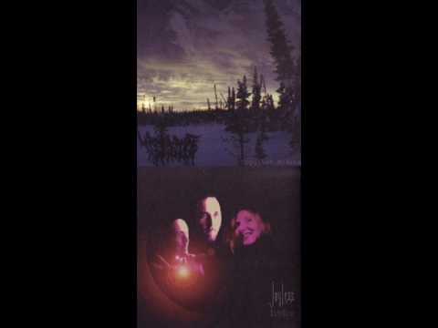 Woods of Infinity - Uppgivet hjärta (Lyrics)