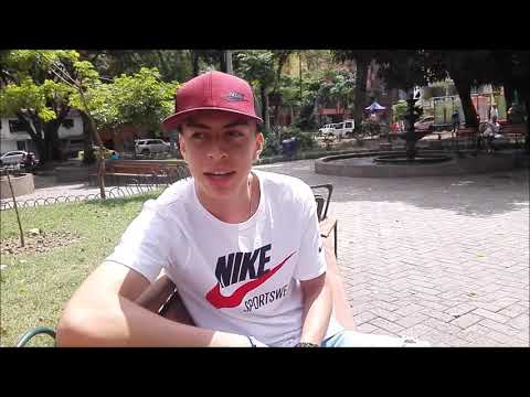 Alimentando Perros Callejeros