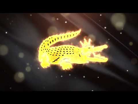 LOOP -ARROCHA FUNK vs ACAPELLAS 💥