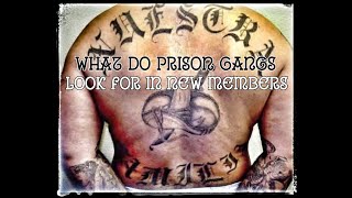 WHO PRISON GANGS RECRUIT