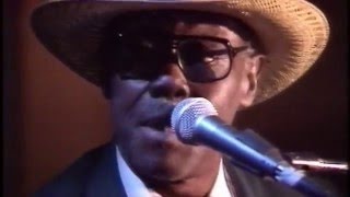 Kidney Stew, Pinetop Perkins with the Blue Ice Band and Chicago Beau in Iceland 1992