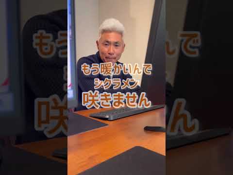 園芸 トルコシクラメン