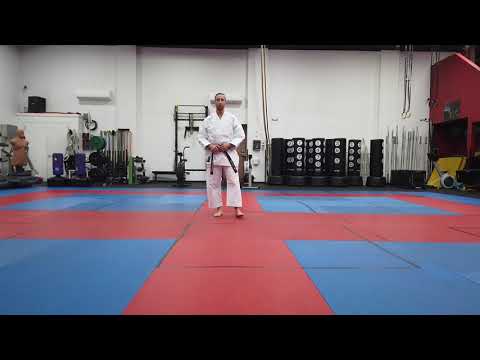 Explanation of JKS Nidan Kihon Examination. Part 1