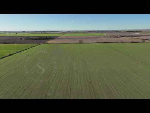 Carlos Pellegrini, Santa Fe