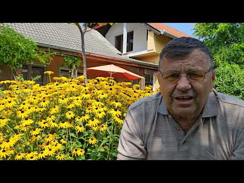 ZA STACIONIRANE PČELARE JAKO VAŽNO.25.07.2024