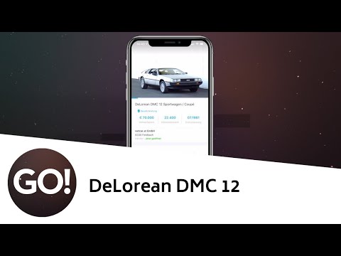 Aus der Vergangenheit in die Zukunft | DeLorean DMC 12 | GO! Insider