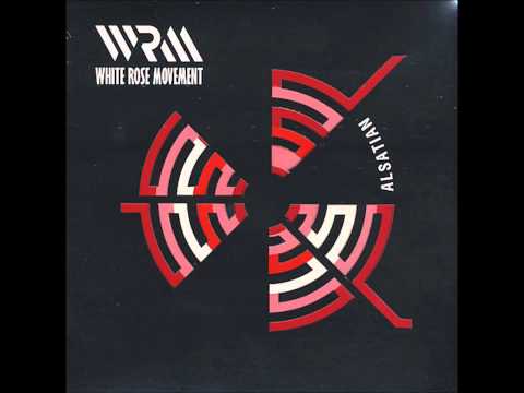 White Rose Movement - Alsatian