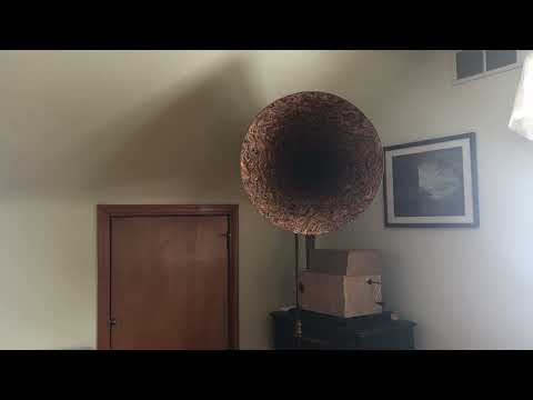 Dear Eyes That Haunt Me - Nat Shilkret and the Victor Orchestra - 1927