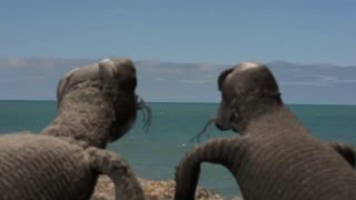 Alfonso y Carlitos- Hoy no se duerme siesta!