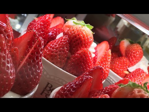 [Pastelería con estilo en la ciudad] Estudio de pastelería occidental Belles Feuilles Tartas y dulces